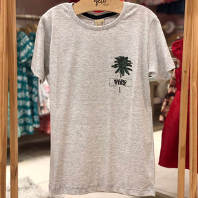 Camiseta manga curta Hrradinhos menino Malibu Cinza