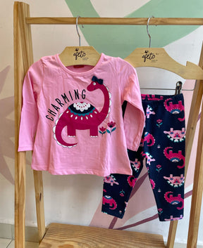Conjunto manga longa Calça menina Tam 2
