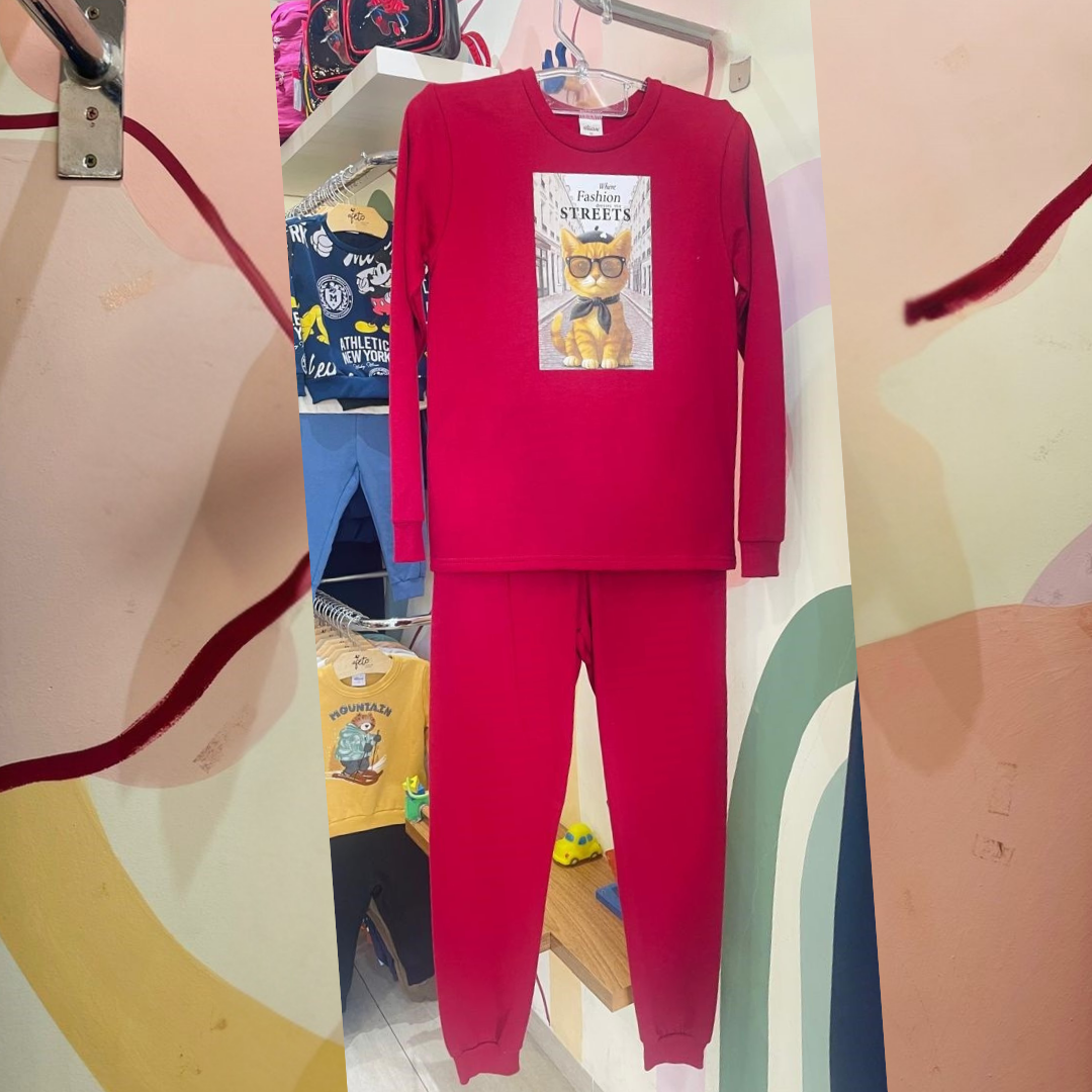 Conjunto Infantil Feminino Manga Longa Calça Flanelado Menina Gatinho Vermelho